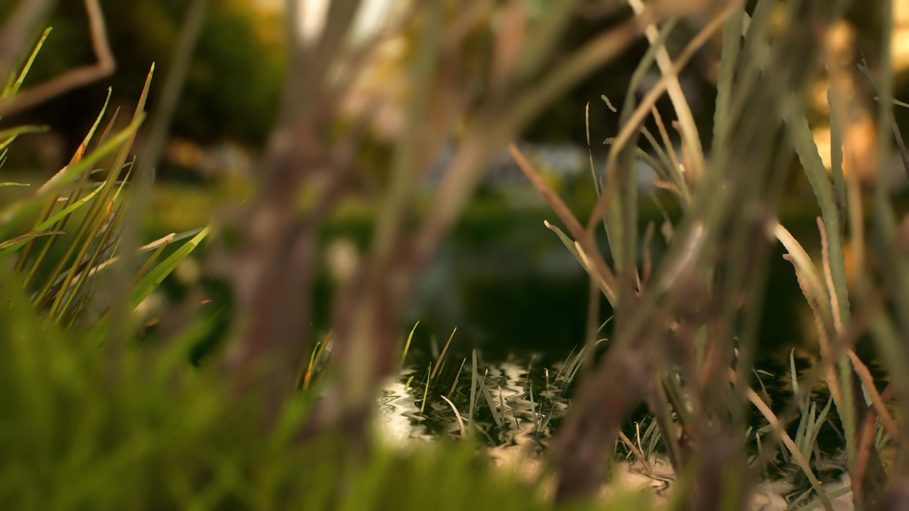 Studies on Breaking Immersion